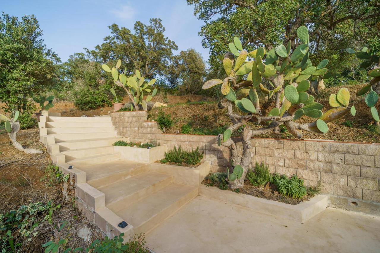 Villa Elicriso Charme E Nature-Goelba Portoferraio Exterior photo