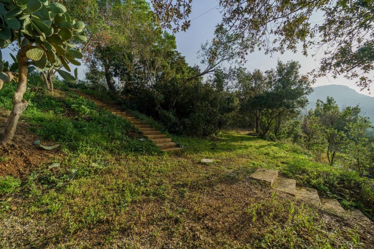 Villa Elicriso Charme E Nature-Goelba Portoferraio Exterior photo